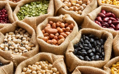 Cómo incluir legumbres en el menú de los niños: trucos y recetas