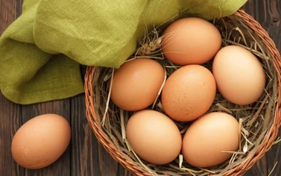 Salmonelosis en verano: cómo prevenirla y conservar alimentos