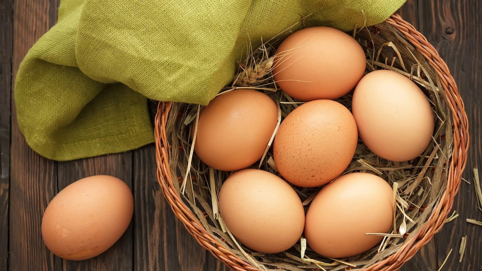 Salmonelosis en verano: cómo prevenirla y conservar alimentos