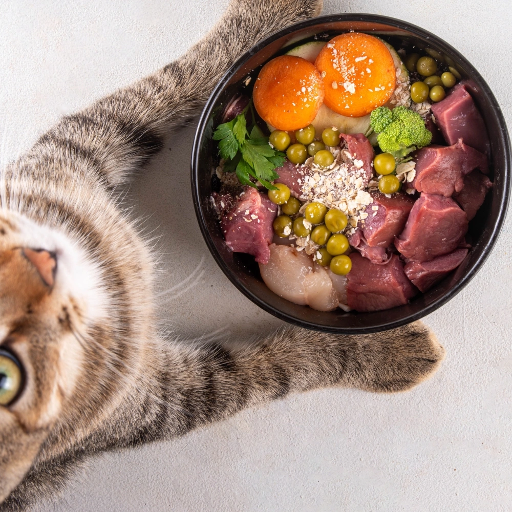 secciones alimento mascota