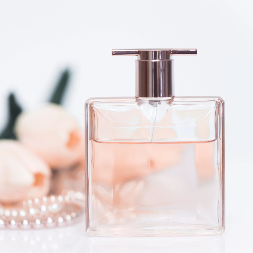 secciones perfumeria